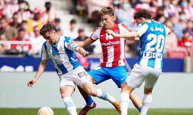 焦点不仅仅 焦点不仅仅