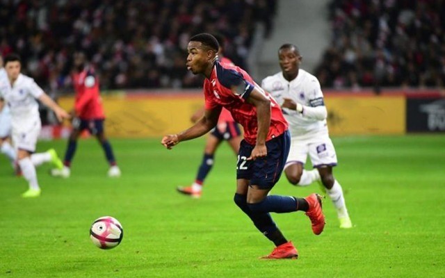 纳等其他大 纳等其他大